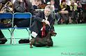 Crufts2011_2 951